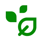 Policies and Positions