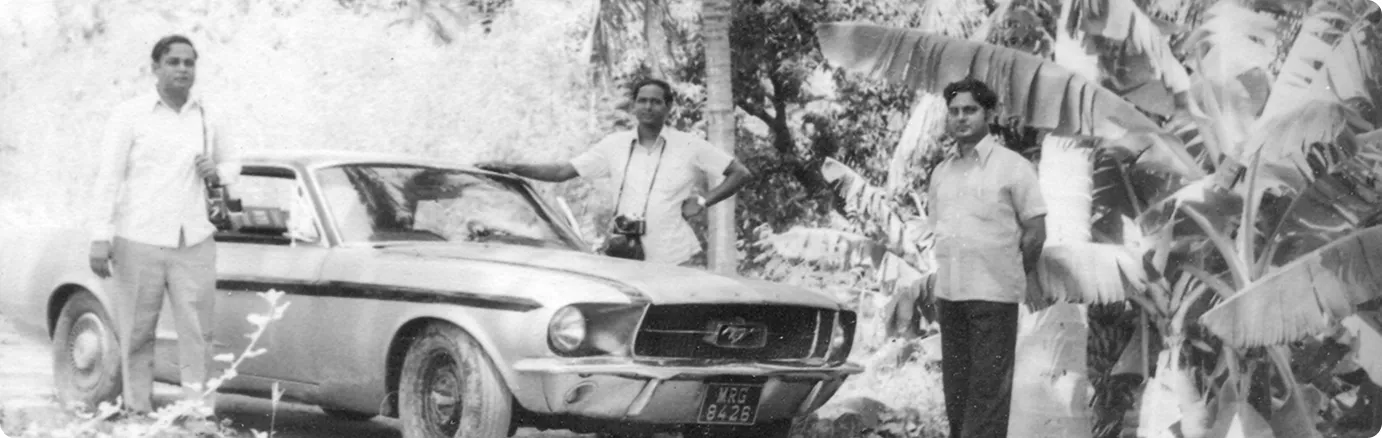 Education & Experience image